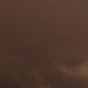 Meet your Posher, Paloma